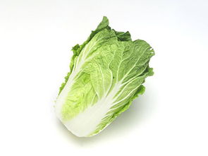 虎門酒店蔬菜配送與內陸水產養殖銷售——專業周到的食材供應解決方案