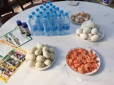 內(nèi)陸水產(chǎn)新突破 純物理殺菌技術(shù)助力“草原蝦”畝產(chǎn)達(dá)2000斤