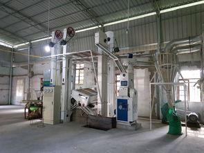 賢昌鎮鋅硒米加工廠 產業新引擎，鋪就村民致富路